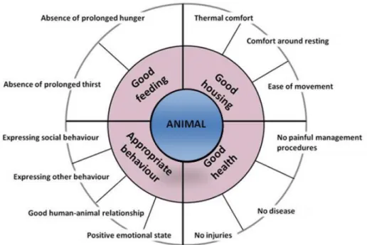 Figure 7: The four principles and 12 animal-based criteria used as guidelines for good welfare