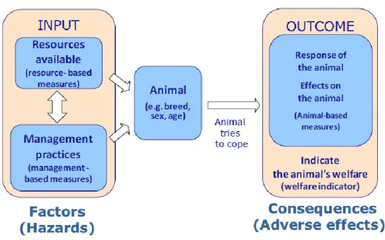 Figure 8: Input and outcome and their relationship. Source: European Food Safety Authority 