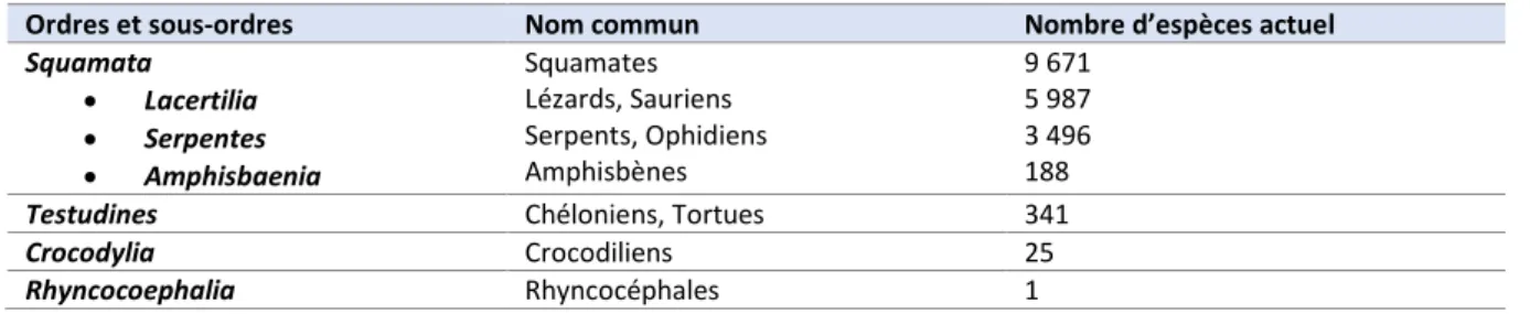 Tableau 1: Les ordres des reptiles (d'après Doneley et al., 2017). 