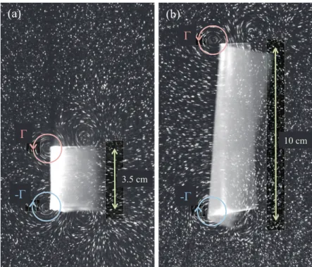 FIG. 4. Visualisation of the longitudinal vortical structures on top and bottom edges of the foils