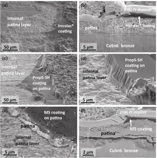 Fig. 7: Coated patinated bronze before aging: (a) SEM at the surface of the coating failure
