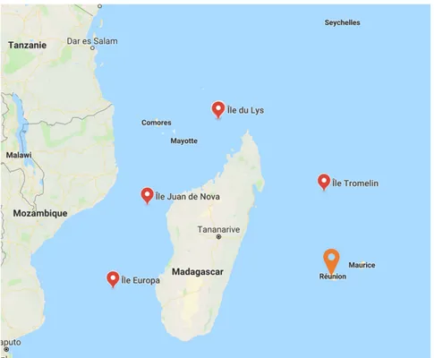 Figure 2 : Localisation géographique de la Réunion dans l’océan Indien  (point orange) (© Google Maps) 