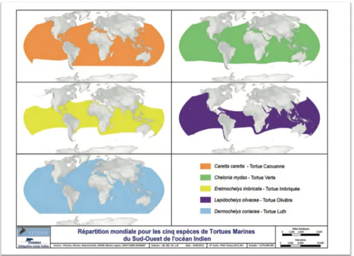 Figure 3: Répartition géographique des tortues marines du sud-ouest de l’océan indien (Kélonia, Ifremer,  Natural Earth, GADM, Marine region, SWOT/OBIS-SEAMAP, 2013)