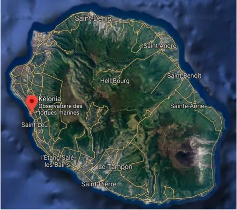 Figure 7: Localisation géographique de Kélonia à Saint- Leu sur l’île de la Réunion (© Google Maps) 