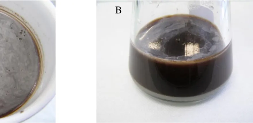Fig. 2.9  (A)  SuOC  F0  alkaline  extract  during  the  filtration  on  the  Buchner  device