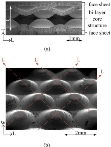 Fig.  1.1 :  (a)  Side  view  of  the  four  layer  sandwich  structure,  (b)  top  view  of  a  single  core  layer