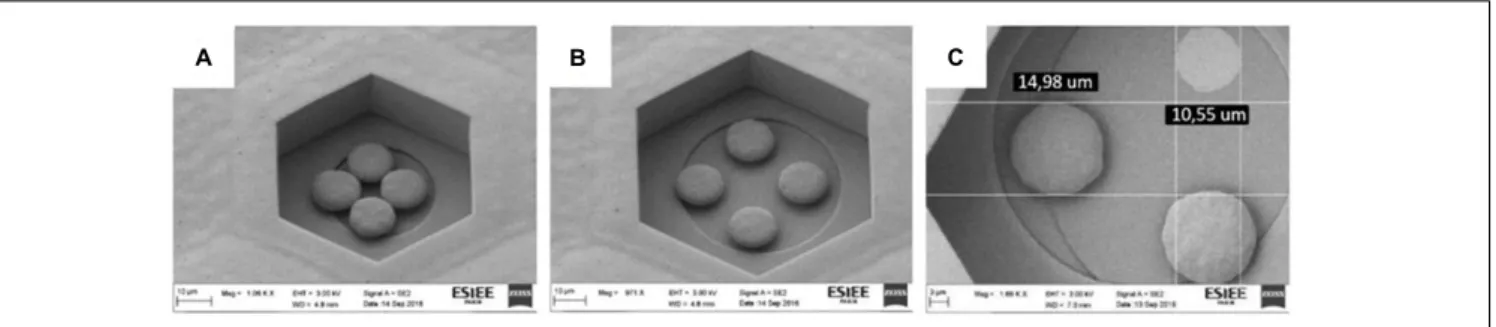 FIGURE 7 | SEM picture of the four protuberant pillars made in copper in a 60/40/8 (A) – scale bar 10 µm – and a 80/60/10 (B) – scale bar 10 µm – structures