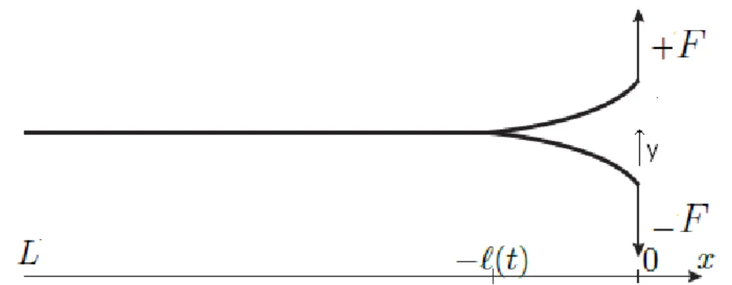 Figure 6.1.2: Délaminage de deux poutres visco-élastiques soumises à une force F appli- appli-quée en t = 0 et maintenu par la suite