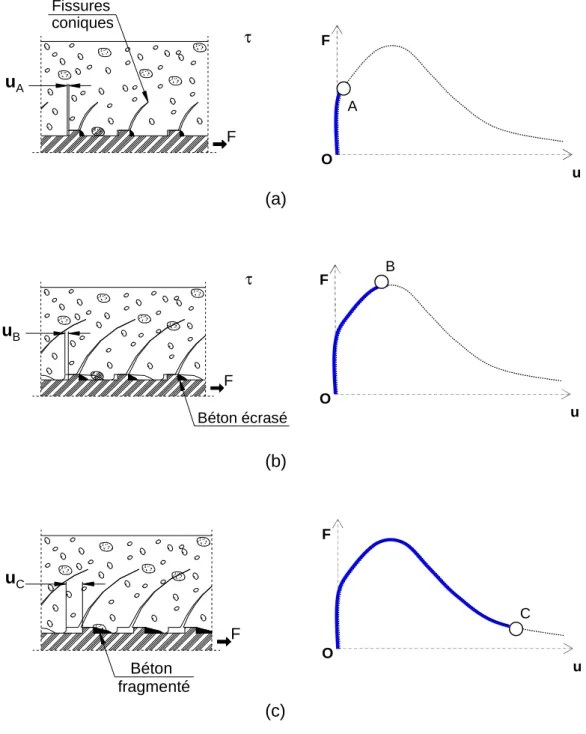 Figure 3.8  Étapes successives de la dégradation de la liaison acier-béton. (a) Tout d'abord, les nervures initient des ssures de cisaillement en forme de cônes dans le béton, (b) puis le béton mis en compression par les nervures commence à céder, (c) et
