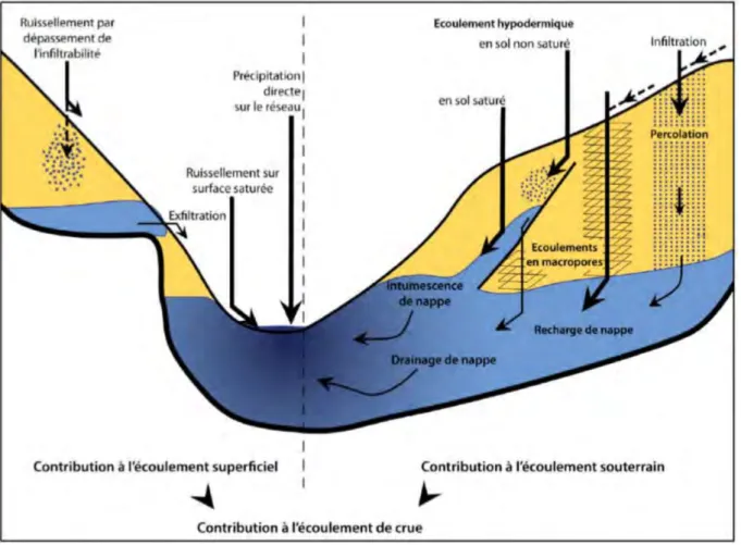 Figure 1.2 – Schéma des principaux écoulements superficiels et souterrains dans un bassin versant