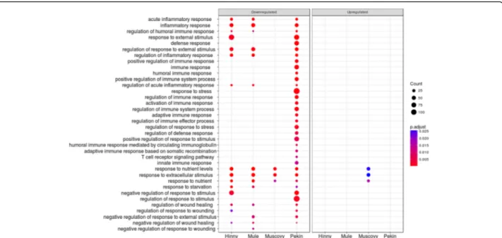 Fig. 9 Enriched GO terms associated to differentially expressed genes in “Regulation of biological process” cluster 6