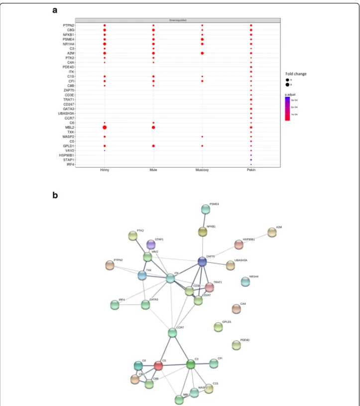 Fig. 10 DEG involved in “activation of immune response”. Fold changes (FC > 2) in the four genetic types of the 31 down regulated significant (adjusted p value < 0.05) differentially expressed genes (DEG) annotated with “activation of immune response