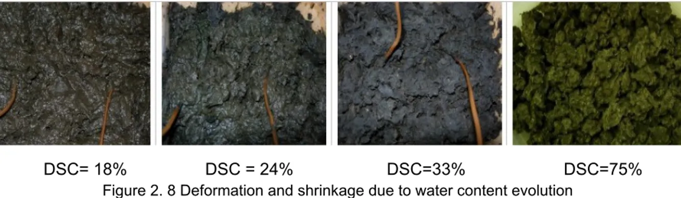 Figure 2. 8 Deformation and shrinkage due to water content evolution