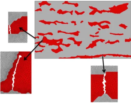 Figure 2.1: FE mesh of a dual phase microstructure after element deletion. Figure reproduced from [72].