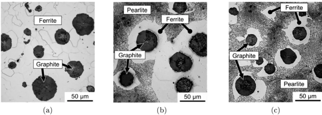 Figure 2.6: Microstructures of diﬀerent kinds of nodular cast iron. (a) Ferritic microstructure