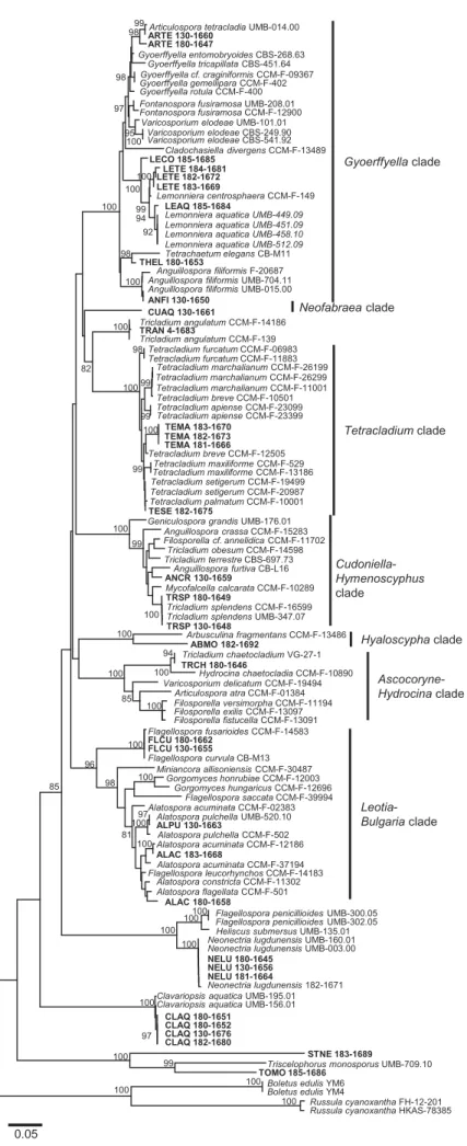 Figure 1. Phylogenetic tree based on ITS sequences of aquatic hyphomycetes. Neighbor-joining method using the Kimura two- two-parameter distances; bootstrap support of 80% or greater from 1000 replicates is shown in the internal nodes of the branches