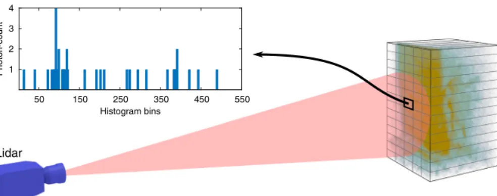 Fig. 1 Illustration of a single-photon lidar dataset. The dataset consists of a man behind a camou ﬂage net 15 