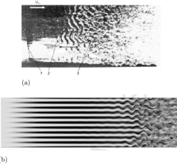 Figure 1.4: (a): Tollmien-Schlichting waves in a developing boundary layer from Babenko et al