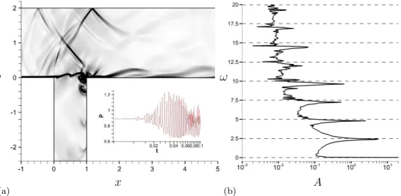 Figure 5.2: (a): Contours of the norm of the density gradient k∇ρk for a arbitrary time in the periodic regime
