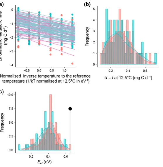 Figure 1. Inter-individual variability of thermal reaction norms for metabolic rate. (a) Arrhenius plot of linearised reaction norms of meta- meta-bolic rate (log-transformed) to temperature (i.e
