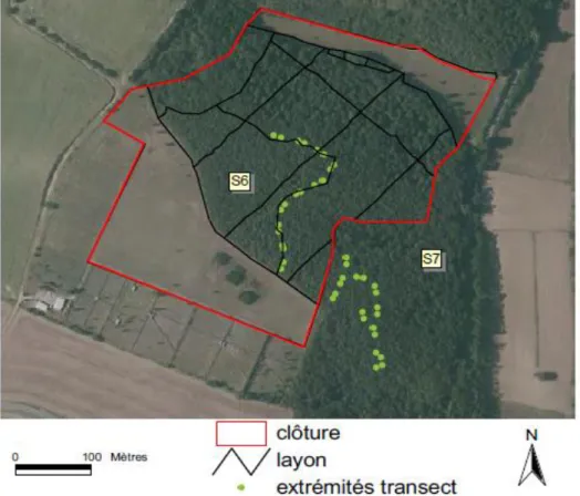 Figure 6: Plan du grand enclos du site expérimental du CEFS à Gardouch. Un layon est un sentier en forêt