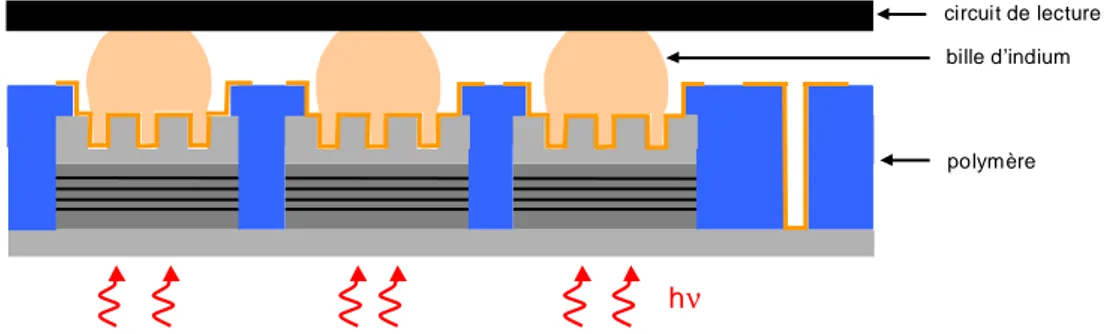 Figure 2.12: Représentation d’une matrice de détecteurs MPQ avec son circuit de
