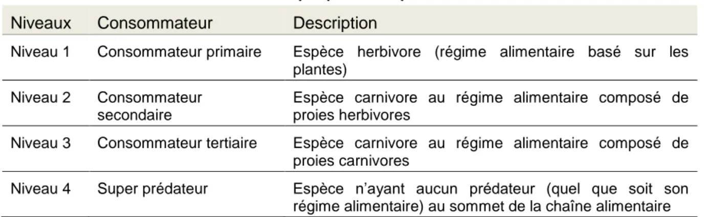 Tableau 5 : Détermination du niveau trophique de l’espèce étudiée 