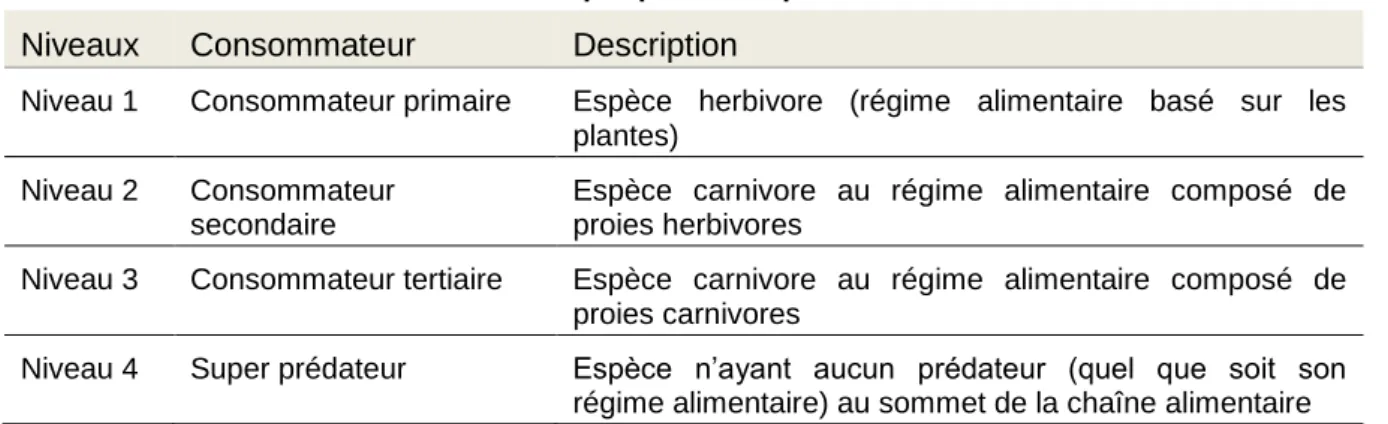 Tableau 5 : Détermination du niveau trophique de l’espèce étudiée 