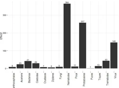 Figure 5 : Répartition des taxons parasitaires chez les primates 