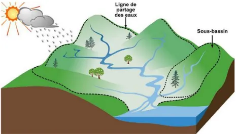 Figure  4  :  Représentation  d'un  bassin  versant  et  des  écoulements  de  l'eau  jusqu'à  l'exutoire