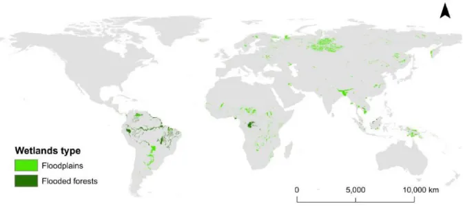 Figure  8  :  Répartition  des  principales  zones  humides  alluviales  à  l'échelle  de  la  planète