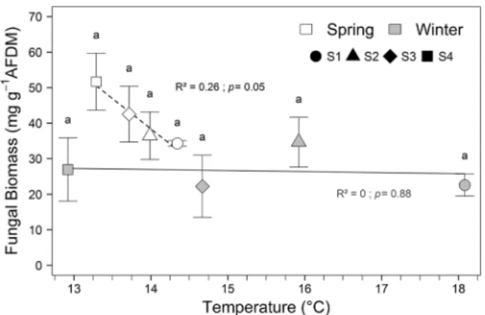 Fig. 2    Mean fungal biomass ± SE associated with alder leaf discs  incubated at the four sites along the temperature gradient across the  two study periods after 21 days