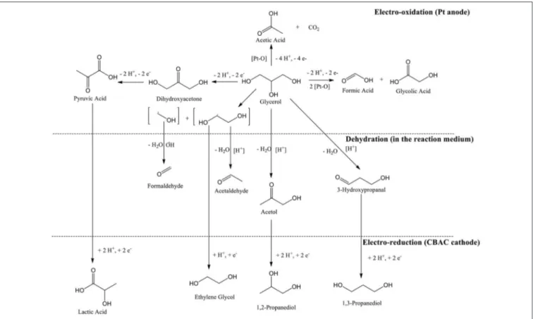 FIGURE 4 | First-order kinetic model of the electrochemical conversion of glycerol at catalyst dosage ranging from 6.4 to 12.8% w/v