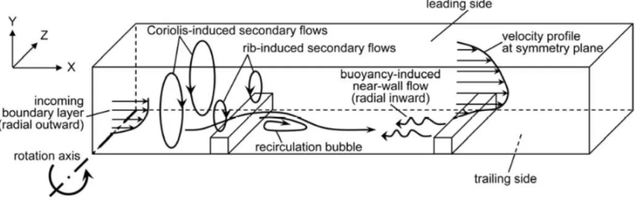 Figure 2.3 – Schéma de l’écoulement dans un canal avec perturbateurs sous l’effet des forces de Coriolis et centrifuges [25].