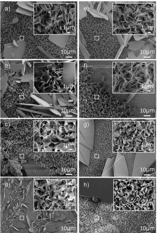 Fig. 5. SEM micrographs showing crystal morphology of calcium phosphate coatings on titanium substrates obtained by pulse plating at 40 °C and 60 °C: a) PP60_5, b) PP60_2, c) PP40_5 and d) PP40_2 and by pulse reverse plating at 40 °C and 60 °C: e) PRP60_5,