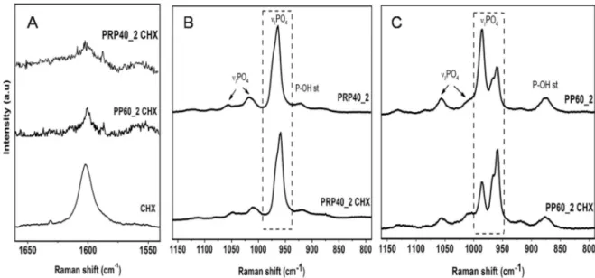 Fig. 7. Raman spectra indi ﬀerent wavenumber domains of CHX and CHX-loaded coatings: A) CHX in PRP40_2CHX, PP60_2CHX and 20% w/v CHX B) PRP40_2 and PRP40_2CHX and C) PP60_2 and PP60_2CHX.