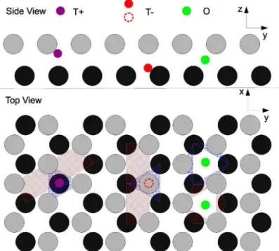 Figure 2. Side view (upper picture) and top view (lower picture) of the glide plane showing: the top Al layer (grey atoms), which can be translated to the right to form an intrinsic stacking fault, the bottom layer (black atoms) which is held ﬁxed