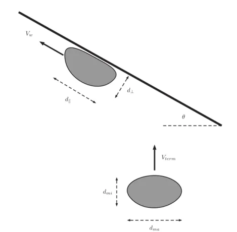 FIG. 1. Sketch of bubble terminal and wall conditions. Away from the wall, the bubble ascends at V term ,