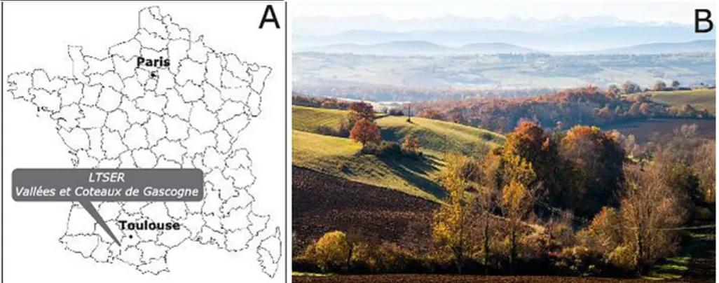 Fig. 1. (A) Location  of the LTSER platform Valltes  et  Coteaux  de Gascogne and (B) photograph illustrating the landscapc  topography and rural forcst compoocots