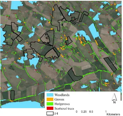 Fig.  4.  Digitalization output of rural forest components around F4 farrn,  with a differentiation between woodlands,  groves, hedgerows and scattered trees