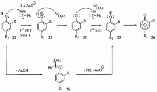 Figure  1.21  Possible mécanisme de SET pour la formation du  phénoxonium  1.3  . 3 .2  Régiosélectivité des attaques 