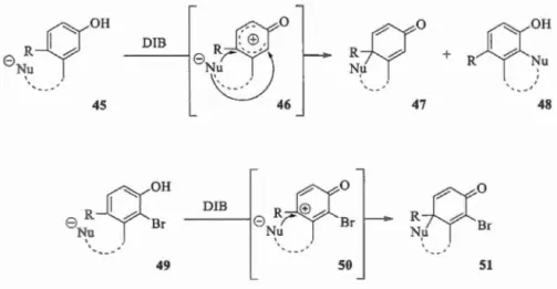 Figure  1.24,  un brome ,  qui  est w1  atome  électroattracteur ,  est positionné  en  position 