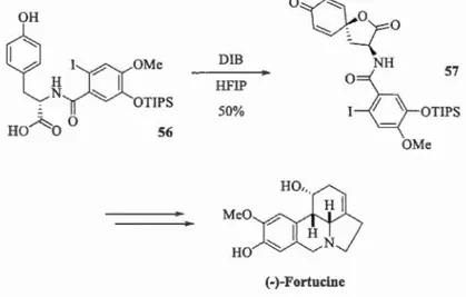 Figure 1.28  Synthèse de la(- )-Fortucine  du Pr.  Canesi 