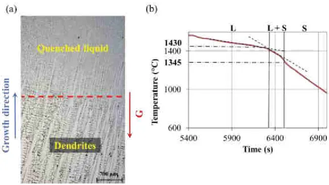 Figure 1 shows the solidification microstructure at the interface between the quenched liquid and the  dendrites tip and the thermal history of the sample during the experiment