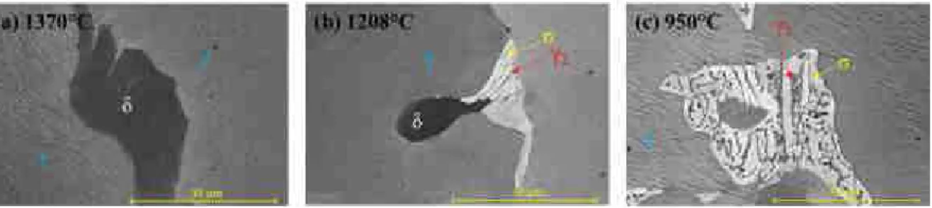 Figure 2 – BSE micrographs of three different representative zones of the QDS sample : (a) 1370°C ±