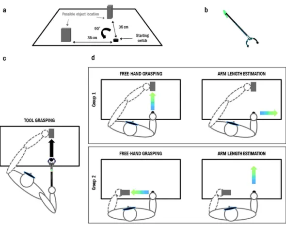 Figure 1.   Experimental set-up. (a) A wooden object was placed on the table either in front or to the left of the  hand starting position