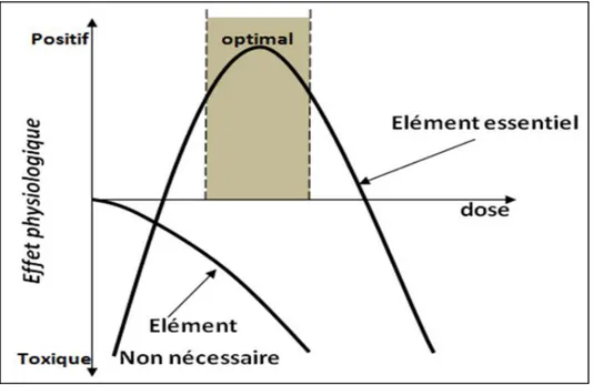 Figure 1 : Relation dose-effet d’éléments essentiels (par exemple Zn, Cu) et non essentiels (par 