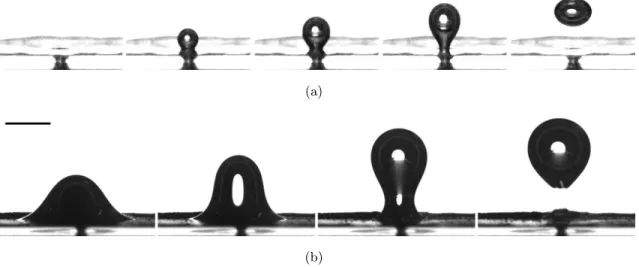 Figure 2.3 – Images successives d’une bulle qui se détache (a) d’une surface hydrophile (verre propre)