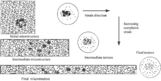 Figure II-8 Evolution of microstructure and texture during superplastic deformation[33]