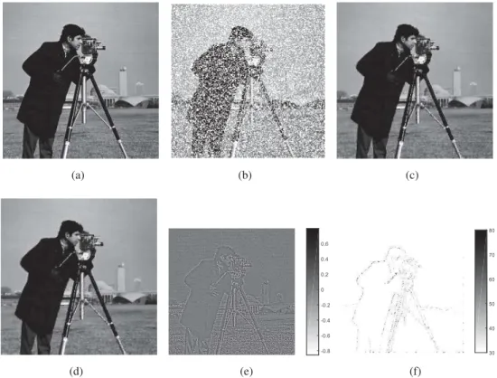 Fig. 4. Image inpainting with TV regularization using SPA: (a) original image; (b) noisy observation with missing pixels depicted in white; (c) MMSE estimate of x; (d) MMSE estimate of z; (e) MMSE estimate of u; (f) Pixel-wise 90% credibility intervals.